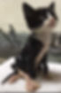 received_585393765470122.jpeg