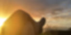 Shows the crossed legs of someone lying down enjoying a sunrise, by Lachlan Ness