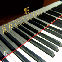 Conservatory Edition piano