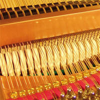 Grand piano detail