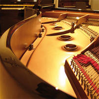 Professional Edition piano