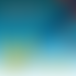 針的起源（簡短版）