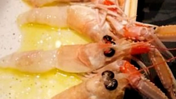 SCAMPI CRUDI