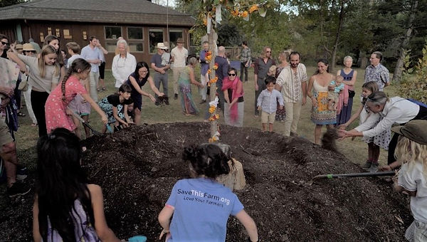 foundation tree.jpeg