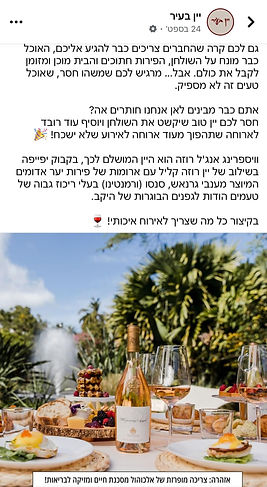 WhatsApp Image 2024-10-20 at 22.07.47.jpeg