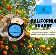 California Soarin'