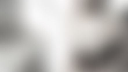 Colloque « Regards croisés sur notre identité »