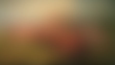 Le Saint Nom de Marie et la bataille de Vienne