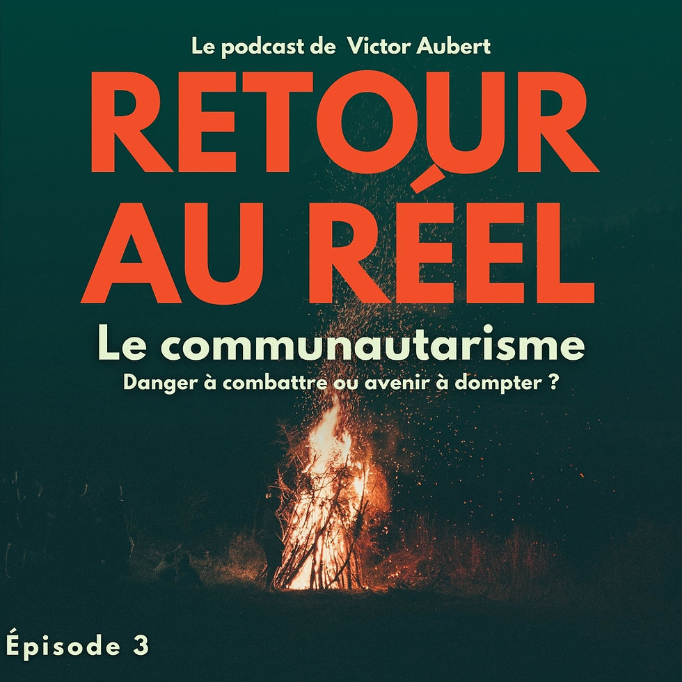 Le communautarisme : danger à combattre ou avenir à dompter ?
