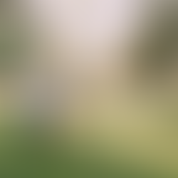 Fall mini session at Manassas Battlefield Park