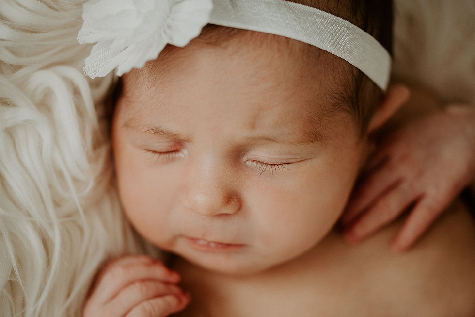 Alexandria VA newborn session