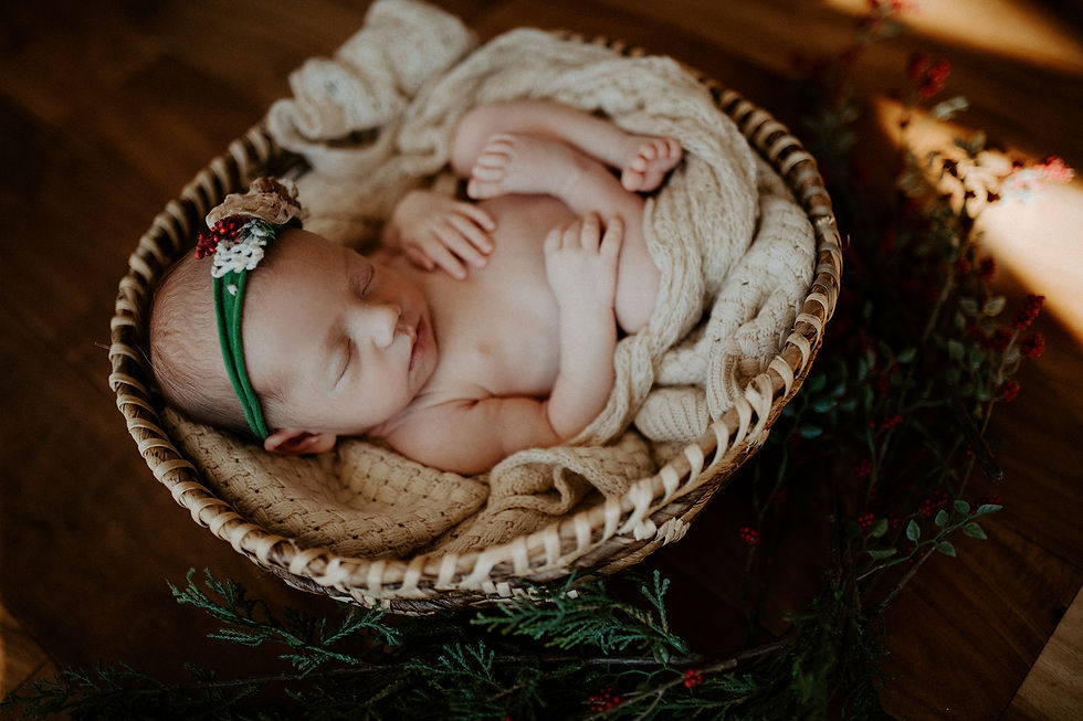 Charlottesville newborn photographer 