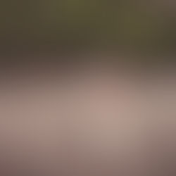 Jenn + Courtney destination wedding in Costa Rica