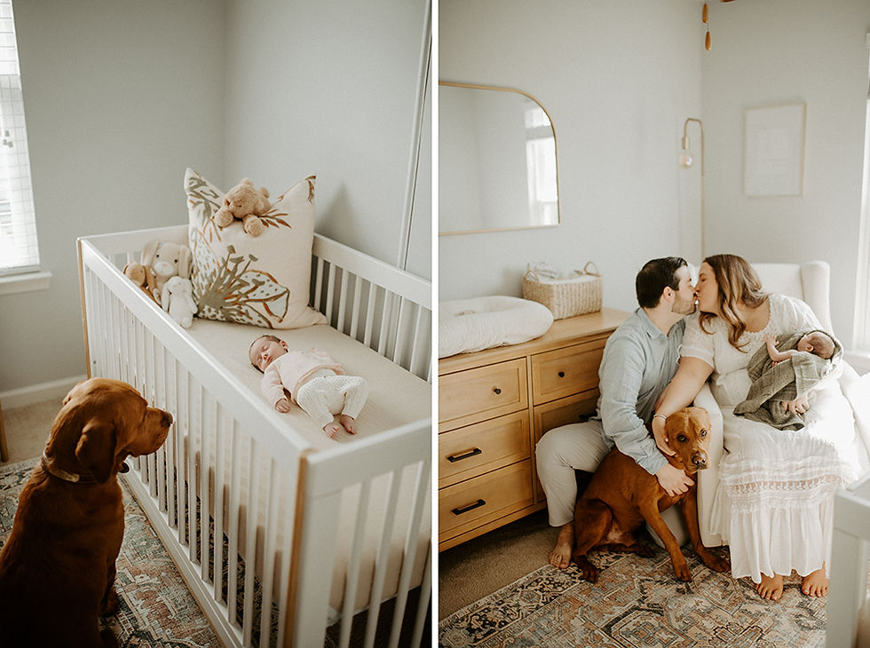 Lifestyle newborn session with family dog cuddling near baby in Maryland home
