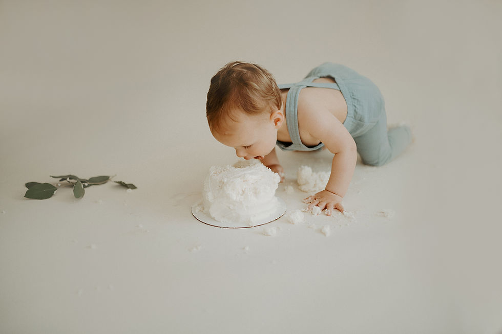 Charlottesville cake smash photographer