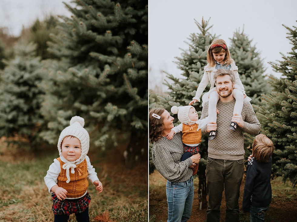 Christmas tree farm minis DC