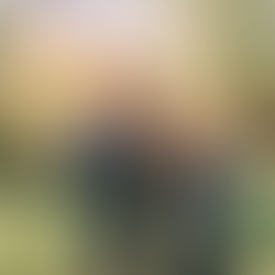 Family session at Montrose Park DC