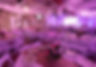 AR500418.jpg