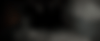 gif3.gif