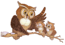 image (1).gif