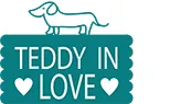 teddy logo.webp