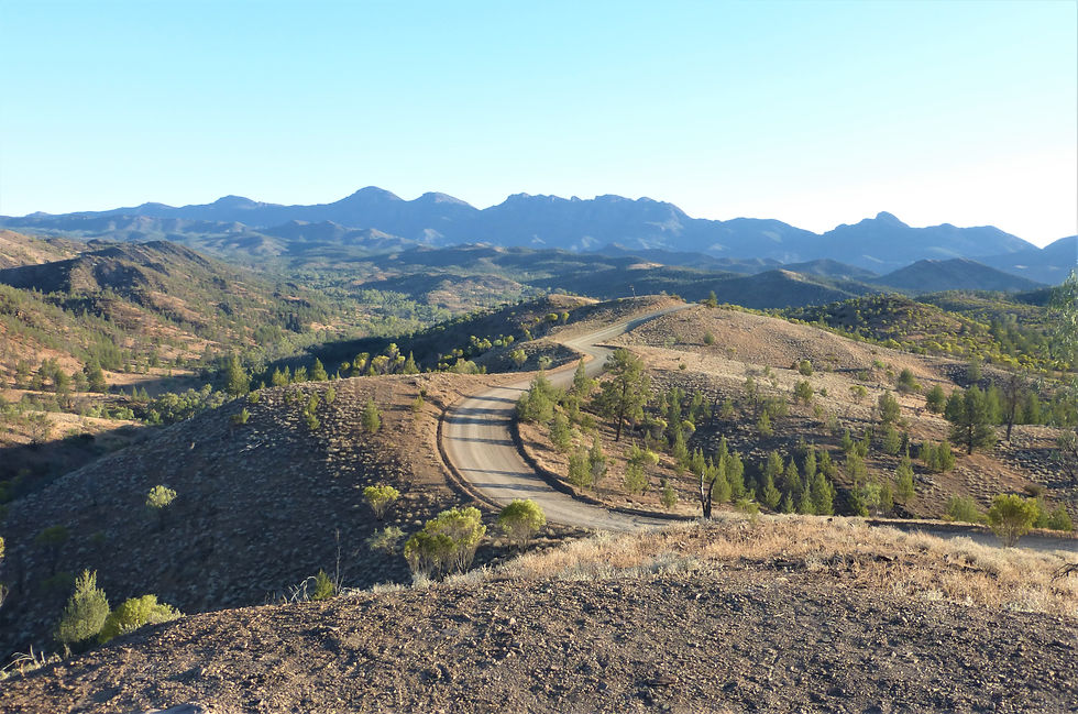 Mont Aigual : Cévènnes (1 jour)