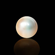istockphoto-508448203-612x612.jpg