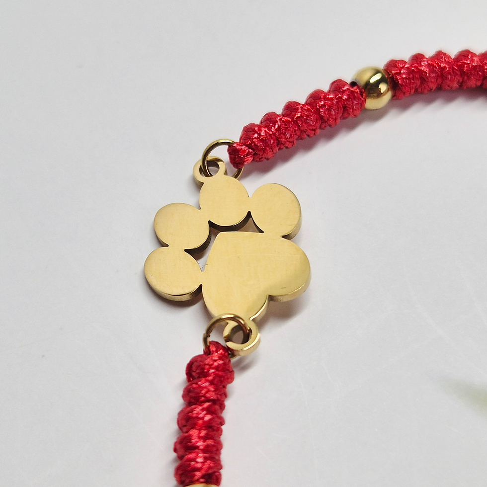 Miniatura: The Paw Print