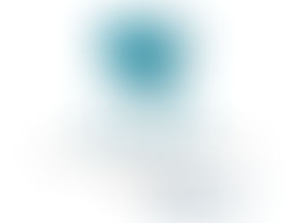 S.I.O.D. entra ufficialmente nel sistema FISAPI