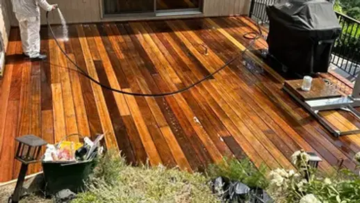 rs=w_370,cg_true (4).webp