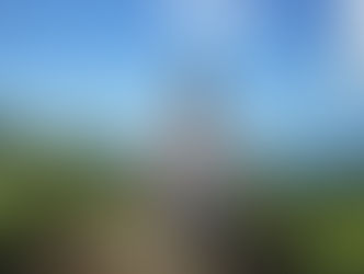 Heard of the 8 Limbs of Yoga?