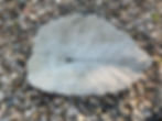 Concrete leaf cast