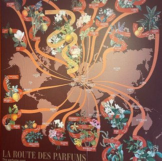 Perfume map Fragonard