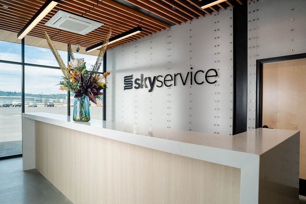 Skyservice