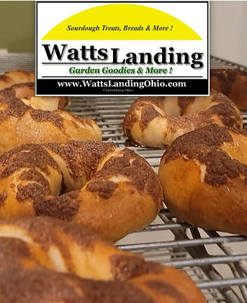 SNAP 20241222 10.01.24.jpg