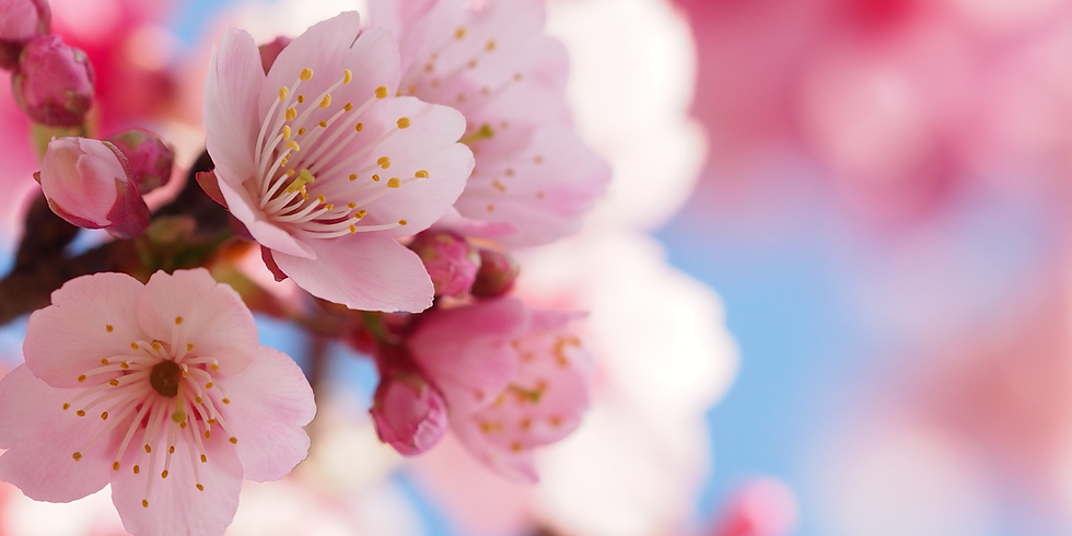 Création sans titre.png