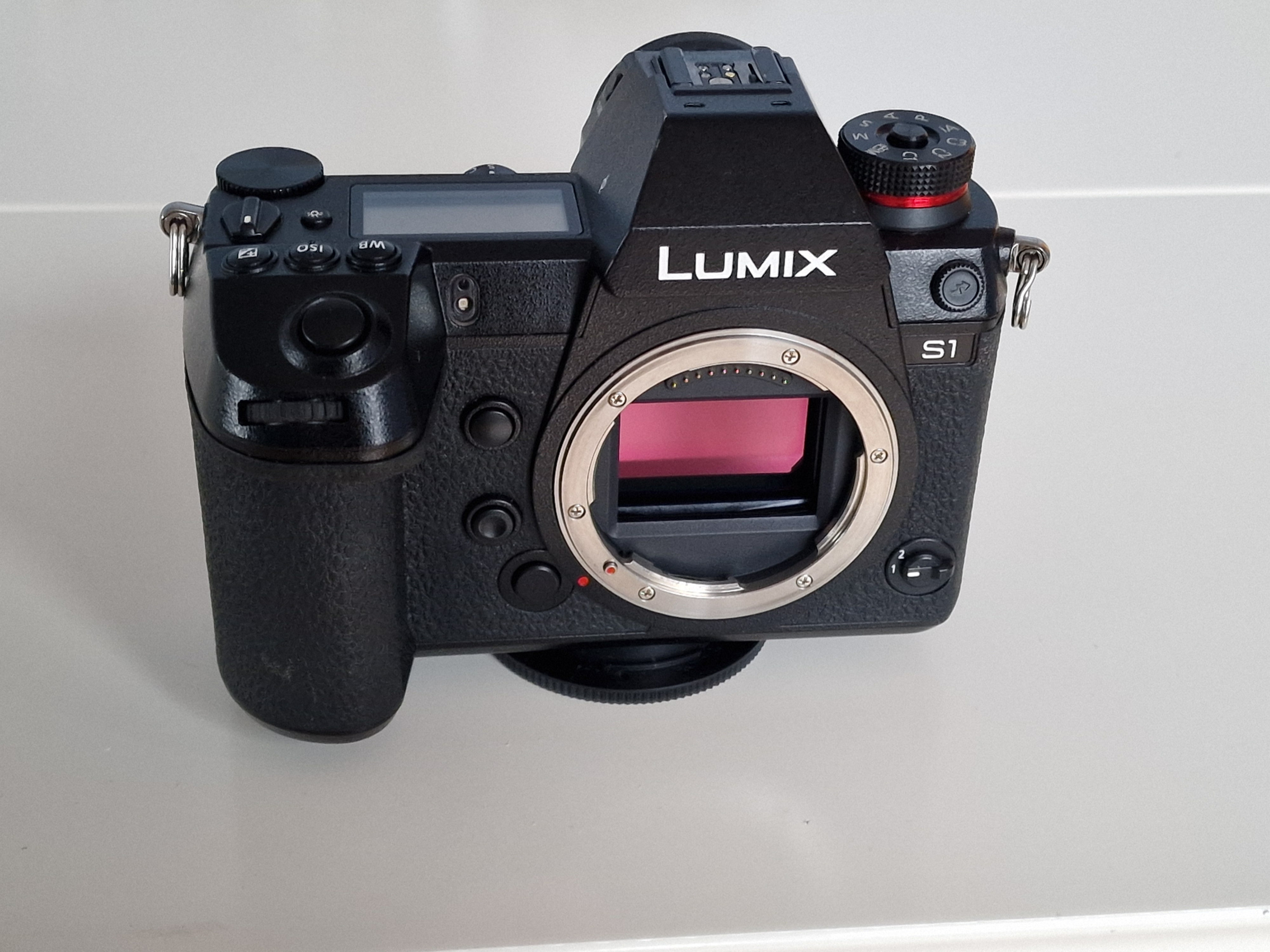 Panasonic Lumix DC-S1 Kamerahus