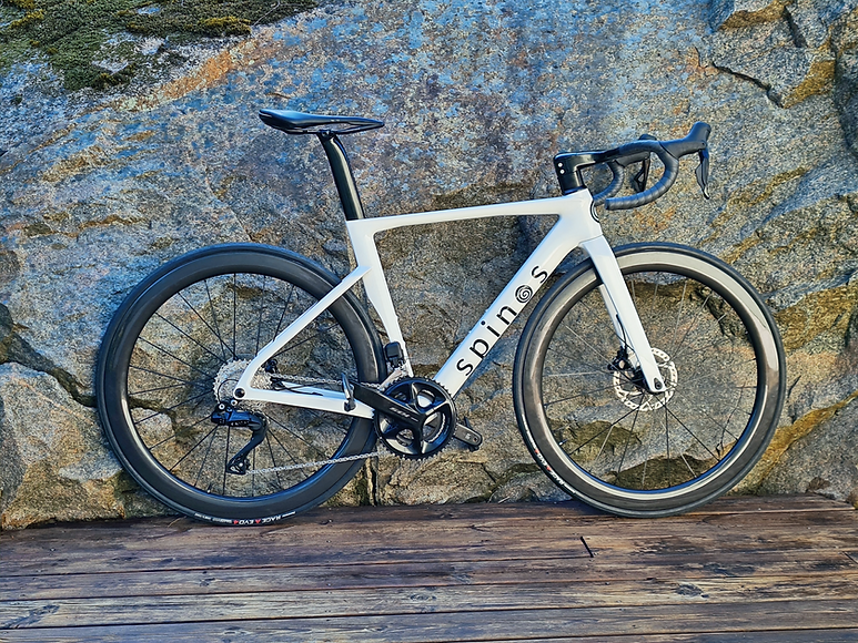 spinos bike1_edited.png