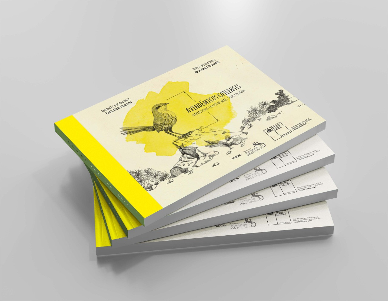 Libro Avendémicus chilensis