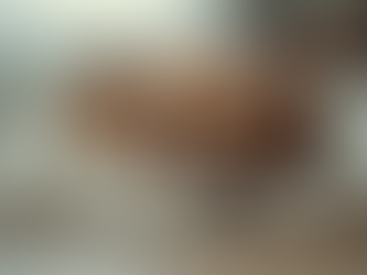 The Essential Guide to Washing Your Dog's Bed: Frequency and Best Practices