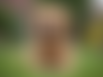 Discover All the Best Pets for Your Family