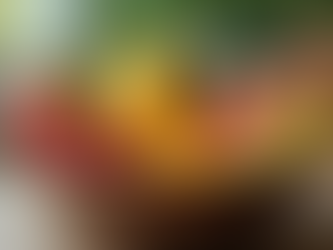 The Critical Role of Nutrition in Enhancing Your Pet's Immune System