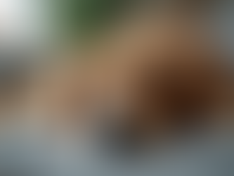 Is Your Dog Secretly Sick?