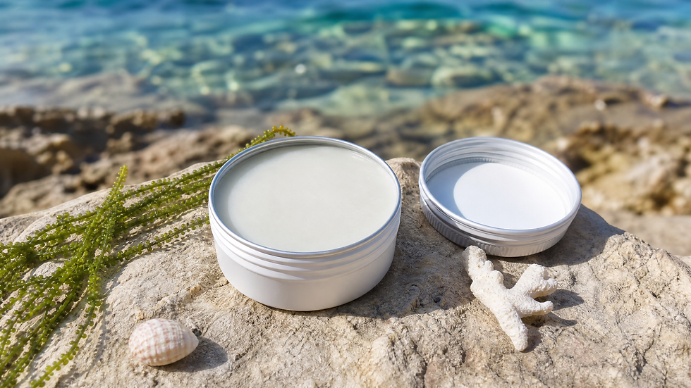 Unbranded mineral zinc oxide sunscreen tin open on a rocky coastal surface with a shell and coral rubble, tropical ocean in the background — reef-safe mineral sunscreen for divers, Plunge Waterwear dive skins dive suit UPF 50+