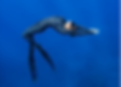 Thumbnail: Black Triggerfish Dive Suit