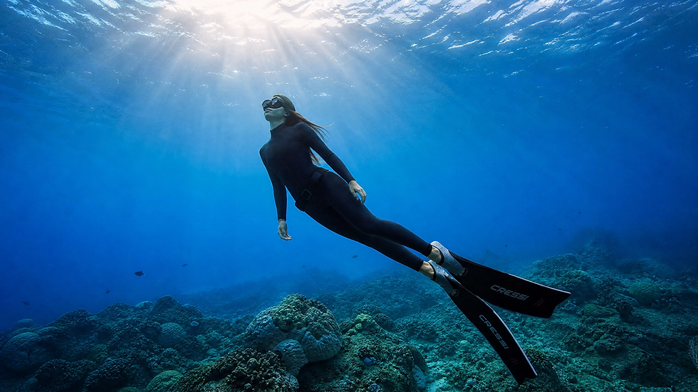 How to Choose a Wetsuit: Thickness, Fit, and Everything In Between