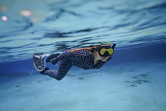 spotted eagle ray tanya springs #9761.JPG