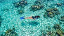 Snorkeling Tips for Beginners: How to Actually Relax, Look Around, and Fall in Love with the Ocean