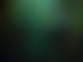 How Kelp Forest Restoration, Historic Ships, and Freediving Records Are Shaping Ocean Futures