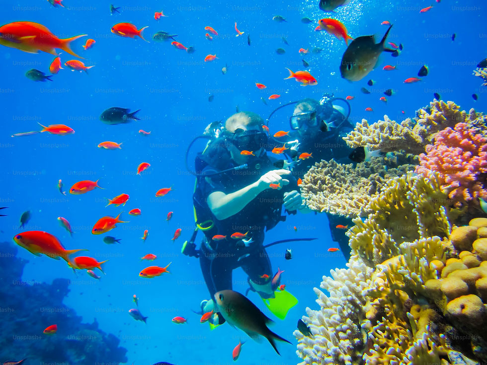 Scuba diver coral restoration - Plunge Waterwear